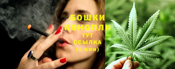 PSILOCYBIN Аркадак