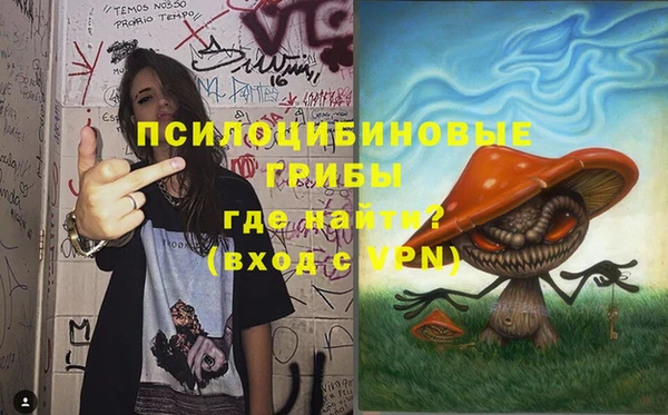 крисы Арсеньев