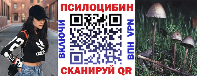 кракен   Ртищево  Галлюциногенные грибы Cubensis  где найти наркотики 